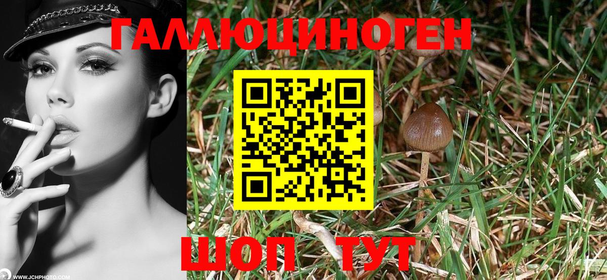 Псилоцибиновые грибы MAGIC MUSHROOMS  Вход с VPN  Клин 