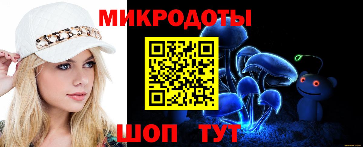 Галлюциногенные грибы Psilocybe Клин